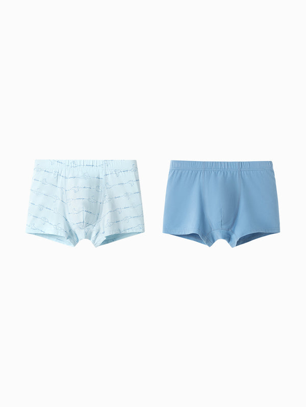 Balabala Kids Boy Underpants - Blue Hue (2 Piece)